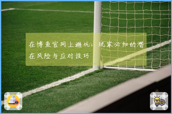 在博鱼官网上避坑，玩家必知的潜在风险与应对技巧