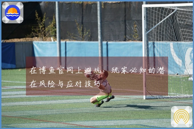 在博鱼官网上避坑，玩家必知的潜在风险与应对技巧