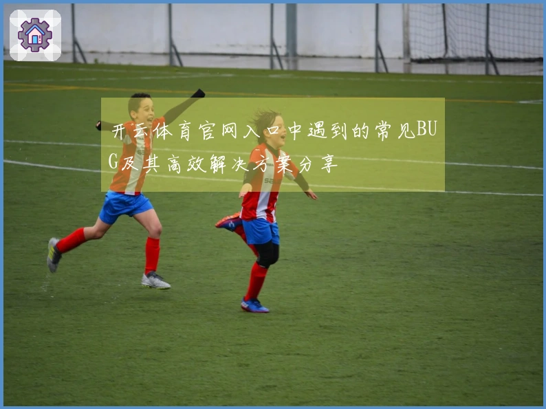 开云体育官网入口中遇到的常见BUG及其高效解决方案分享